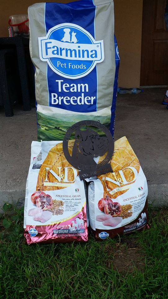 Gorące podziękowania za wsparcie bezdomniaków